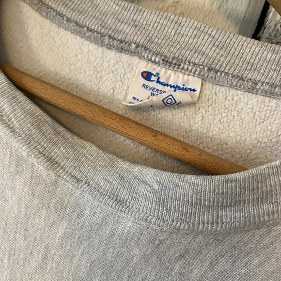 Vtg 90s Champion Reverse Weave Phi Kappa Theta Sorority Fraternity Sweatshirt L - Picture 14 of 15